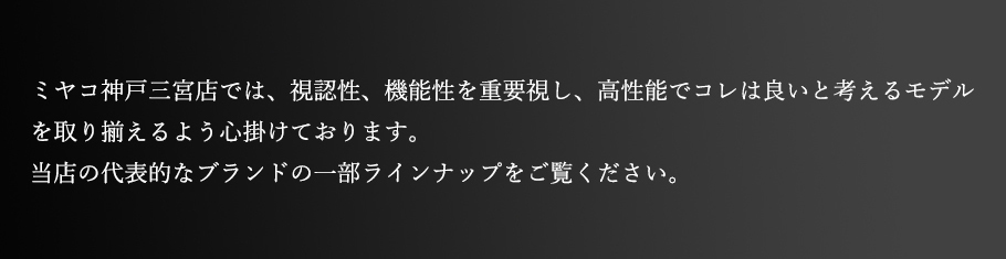 ハンハルト説明文1